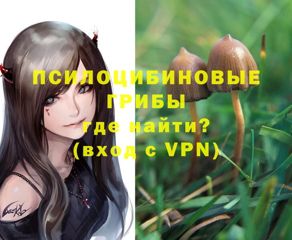 соль ск Богородицк