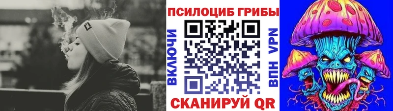 Купить закладки  Гагарин  Псилоцибиновые грибы Magic Shrooms 